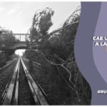 Se cae árbol a las vías de la Línea B