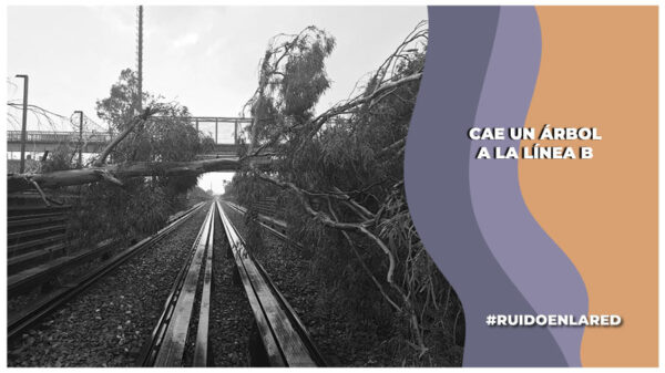 Se cae árbol a las vías de la Línea B