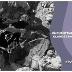 ceci flores pide ayuda tras encontrar un crematorio en nogales, sonora