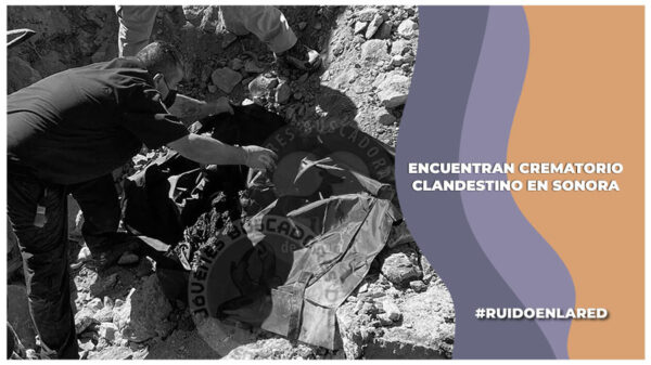 ceci flores pide ayuda tras encontrar un crematorio en nogales, sonora