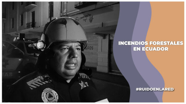 Incendios forestales en Ecuador: ¿Cuánto tiempo llevan activos?