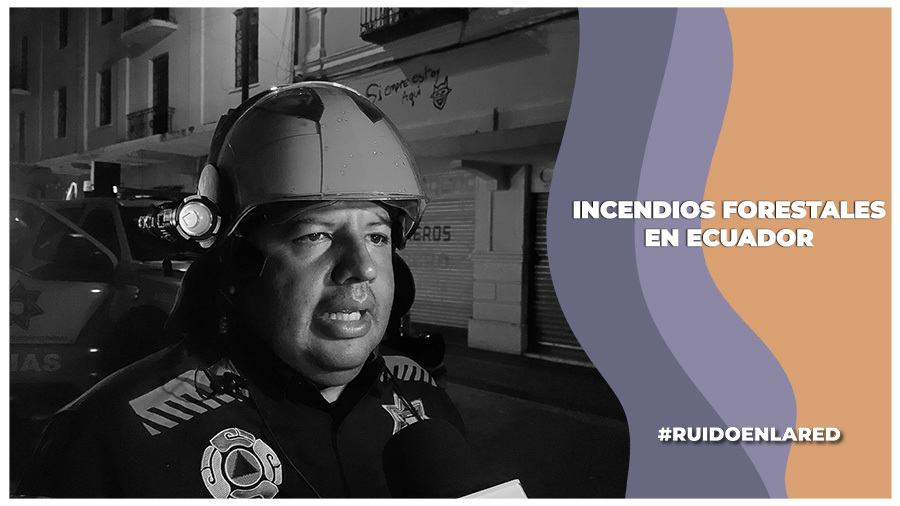 Incendios forestales en Ecuador: ¿Cuánto tiempo llevan activos?