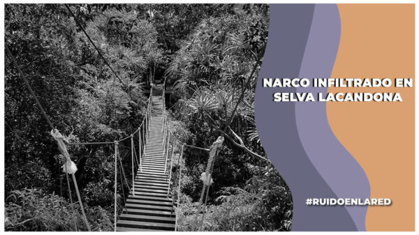 Mayas denuncian que el narco se infiltra en la Selva Lacandona