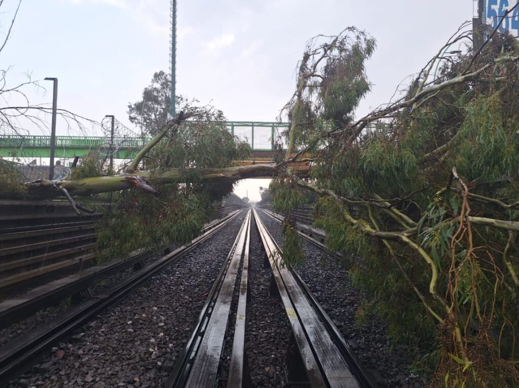 Se cae árbol a las vías de la Línea B