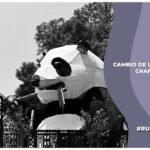 pan poder judicial cambio de suelo bosque de chapultepec