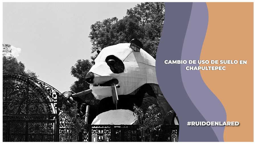 pan poder judicial cambio de suelo bosque de chapultepec