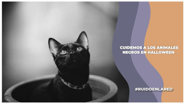 El racismo y especismo hacia los animales de color negro