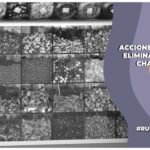 Medidas de la SEP para eliminar la comida chatarra de las escuelas