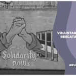 Personas voluntarias en Líbano para rescatar a los animales bajo los escombros de los bombardeos