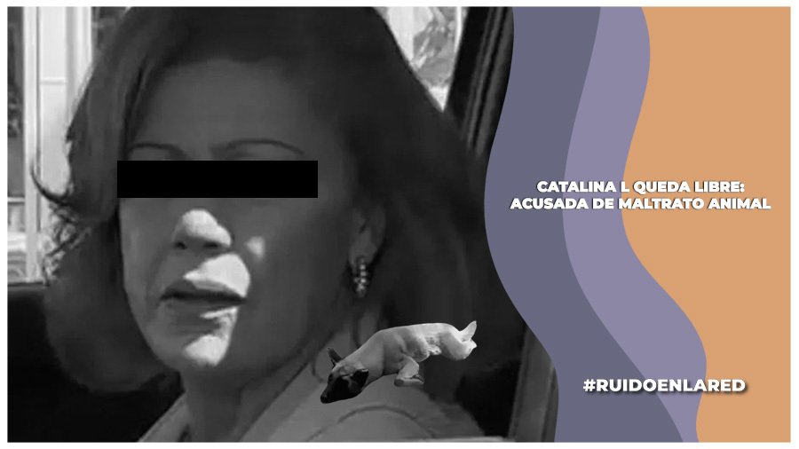 Caso de maltrato animal en Tlaquepaque: Queda en libertad agresora animal