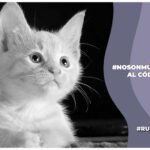 #NoSonMueblesMéxico iniciativa por los animales