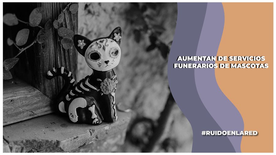 Servicios Funerarios de mascotas, aumentan los negocios