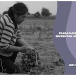 condiciones laborales de los trabajadores del campo