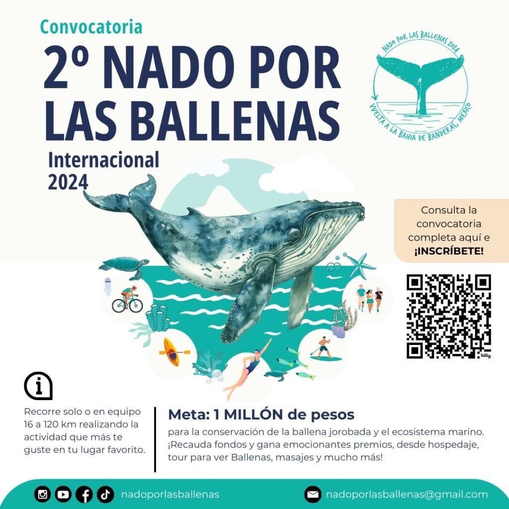 Nado por las Ballenas: Entrevista con Stephanie Montero