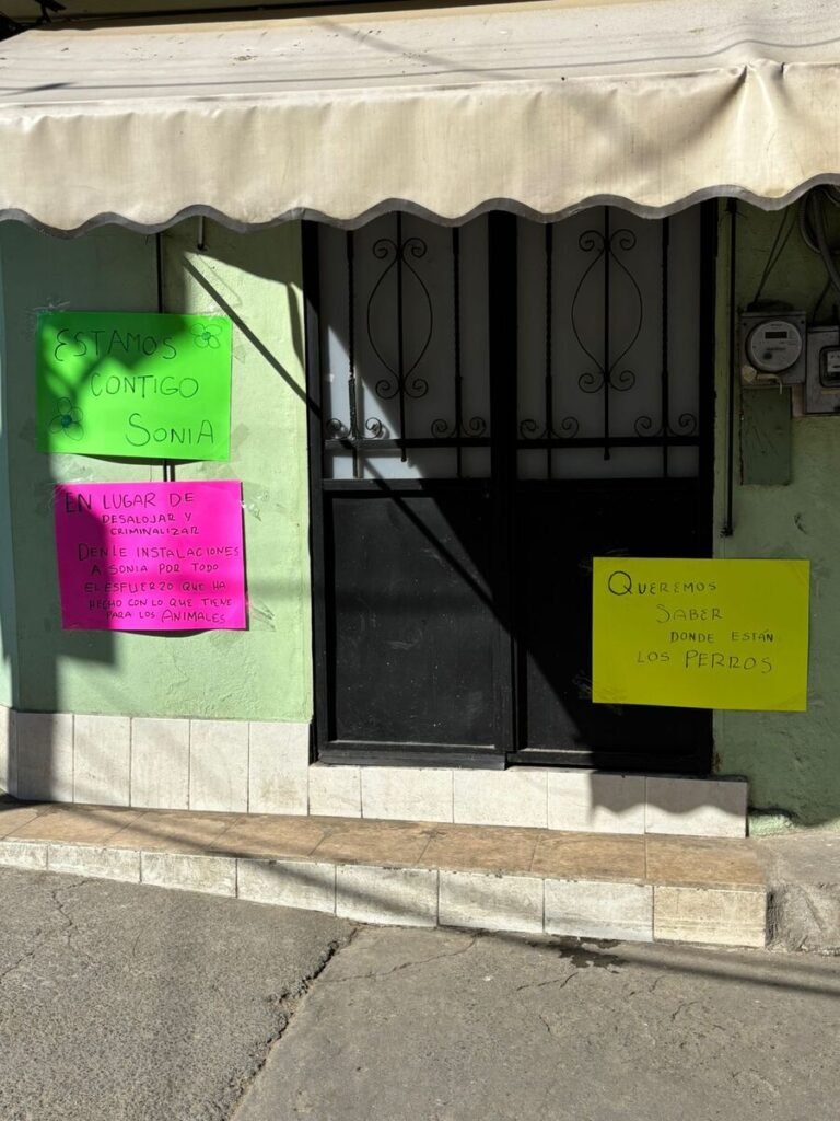 Clausuran alberge de animales tras operativo en la colonia Narvarte