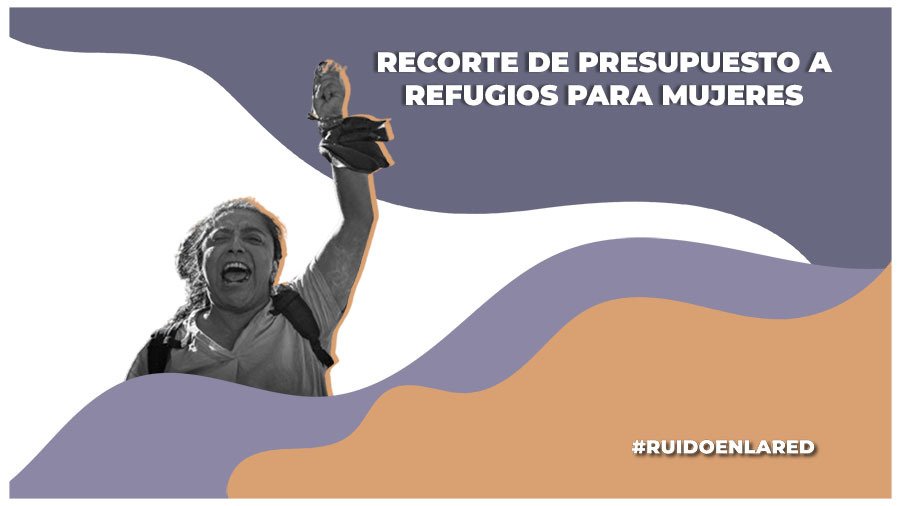 presupuesto de egresos para 2025 reduce dinero para refugios para las mujeres
