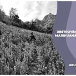 gabinete de seguridad