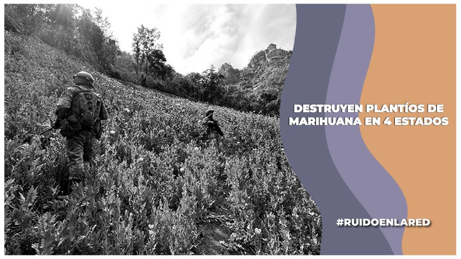 gabinete de seguridad