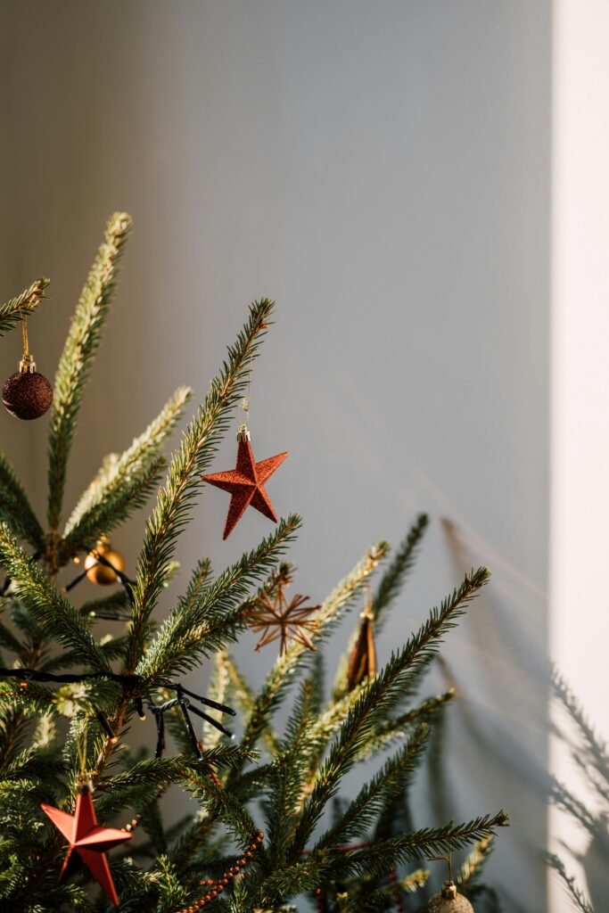 Pistas y planes navideños CDMX