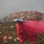 polvo rosa los angeles