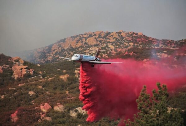 polvo rosa los angeles