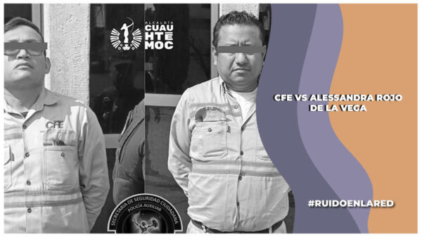 CFE vs Alessandra Rojo de la vega sobre detención de dos trabajadores