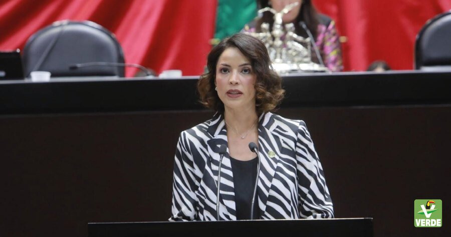 Partido Verde presenta iniciativa para regular la pirotecnia en el país