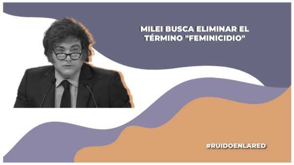 javier milei busca eliminar feminicidio del codigo penal de argentina