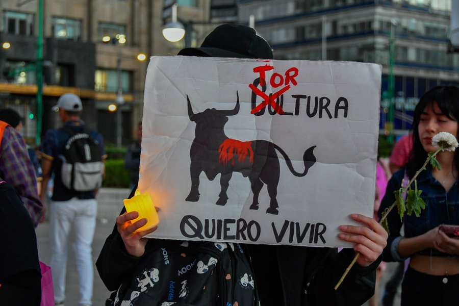 Regresan corridas de toros a Guadalajara tras ser suspendidas desde 2023; SCJN respalda a toreros