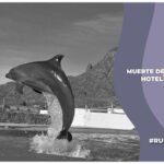 Muerte de delfín en el Hotel Barceló