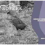 Profepa realiza inspección en Zoológico Wameru tras denuncias en redes; impusieron medidas de atención inmediata