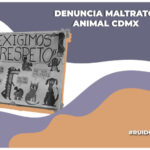 Estas son las únicas dos autoridades competentes que reciben e investigan denuncias de maltrato animal en la CDMX