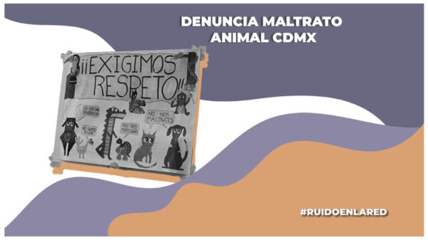 Estas son las únicas dos autoridades competentes que reciben e investigan denuncias de maltrato animal en la CDMX