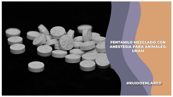 cómo es mezclada la fórmula del fentanilo con anestesia para animales