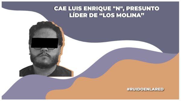 quien es luis enrique n, líder de los molina