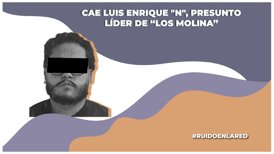 quien es luis enrique n, líder de los molina