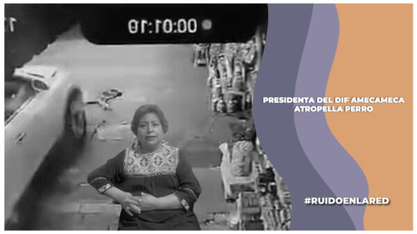 Presidenta del DIF Amecameca presenta su renuncia tras denuncias por atropellar a un perro