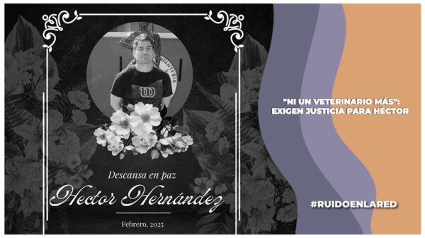 El veterinario Héctor Hernández Caña, fue presuntamente as3sinad0 por los cuidadores de una perrita yorkie que “no pudo salvar”.