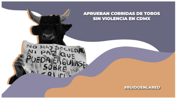 corridas de toros cdmx