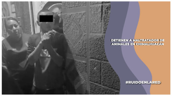 Detienen a agresor de perros en Chimalhuacán, Edomex