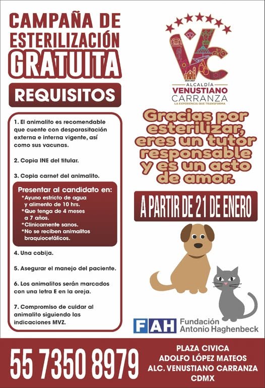 centros de esterilización gratuita en cdmx