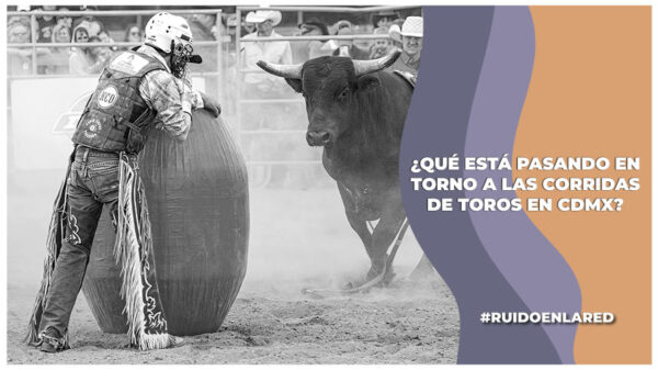El Congreso de la CDMX reprograma la discusión de las corridas de toros al próximo 18 de marzo en donde se discutirá si se cancelan o no