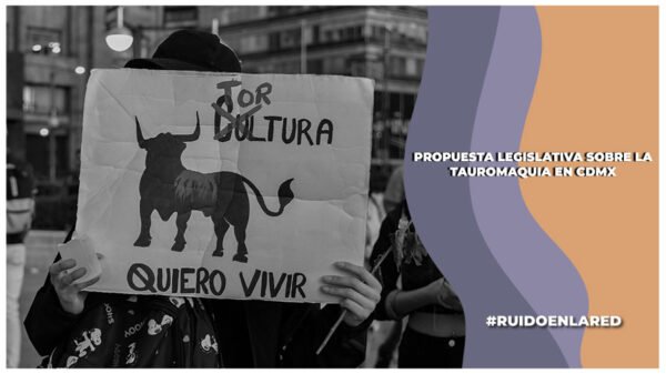 gobierno de la cdmx enviará propuesta legislativa sobre corridas de toros sin violencia