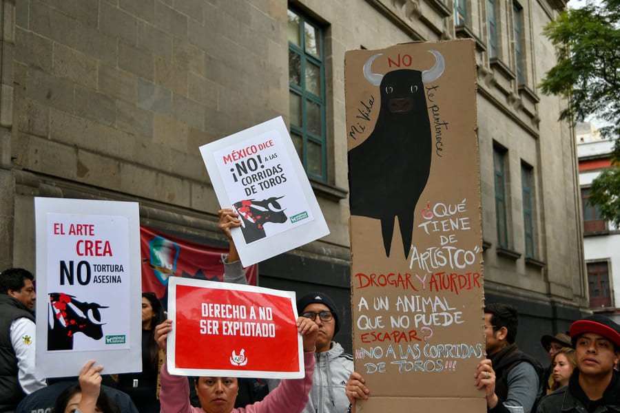 publican decreto sobre corridas de toros sin violencia en cdmx
