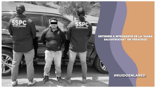 detienen a el veterano, miembro de la mara salvatrucha