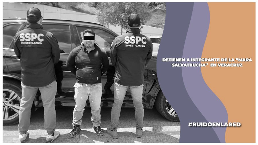 detienen a el veterano, miembro de la mara salvatrucha