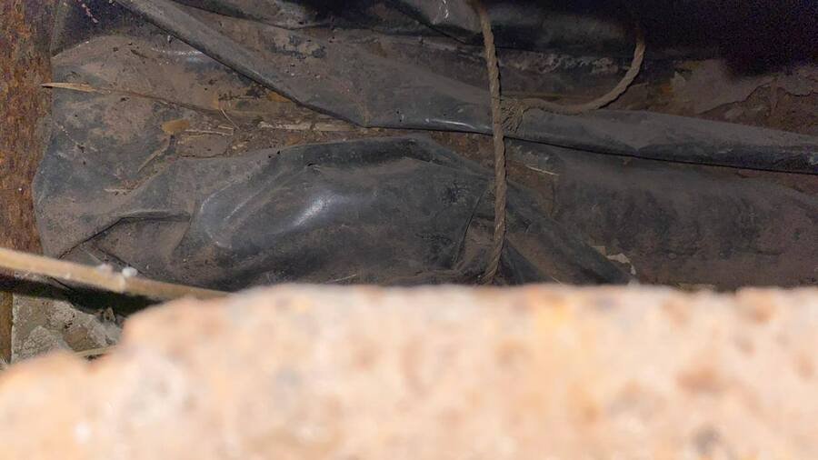 el colectivo madres buscadoras de sonora encuentran restos humanos en tumbas