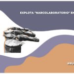 Explosión en "narcolaboratorio" de Sinaloa deja cuatro soldados heridos