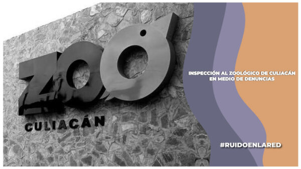 Inspección al zoológico de Culiacán por maltrato y abandono animal