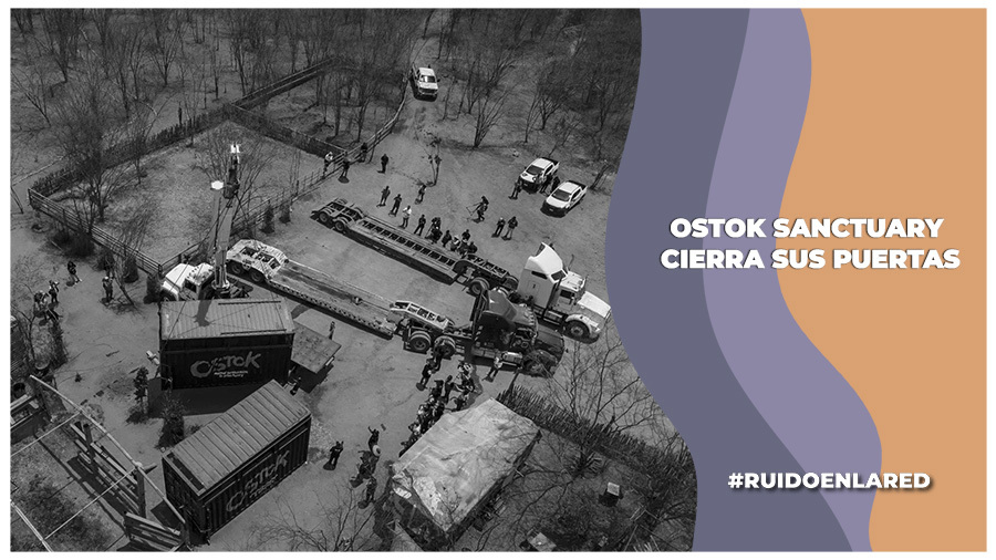 Ostok Sanctuary cierra sus puertas en Culiacán, Sinaloa por la violencia; reubican a más de 700 animales en Bioparque de Mazatlán